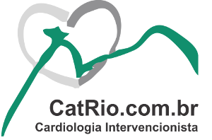 CatRio.com.br